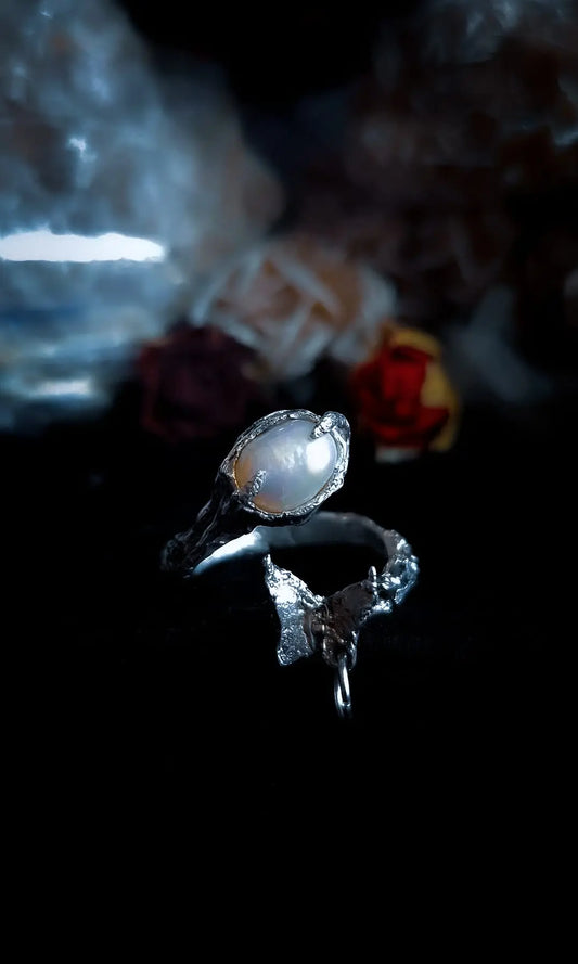 Pierced fly - Book of Kissu