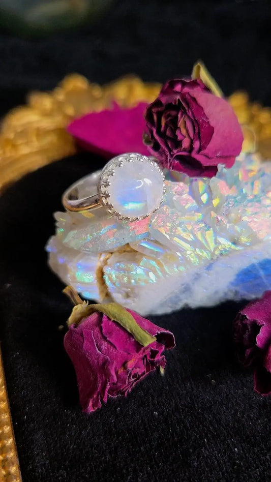 Lunaris Oracle - UK R / US 9 Book of Kissu