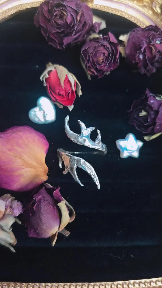 Wyrmbranch - Adjustable Silver Ring Book of Kissu