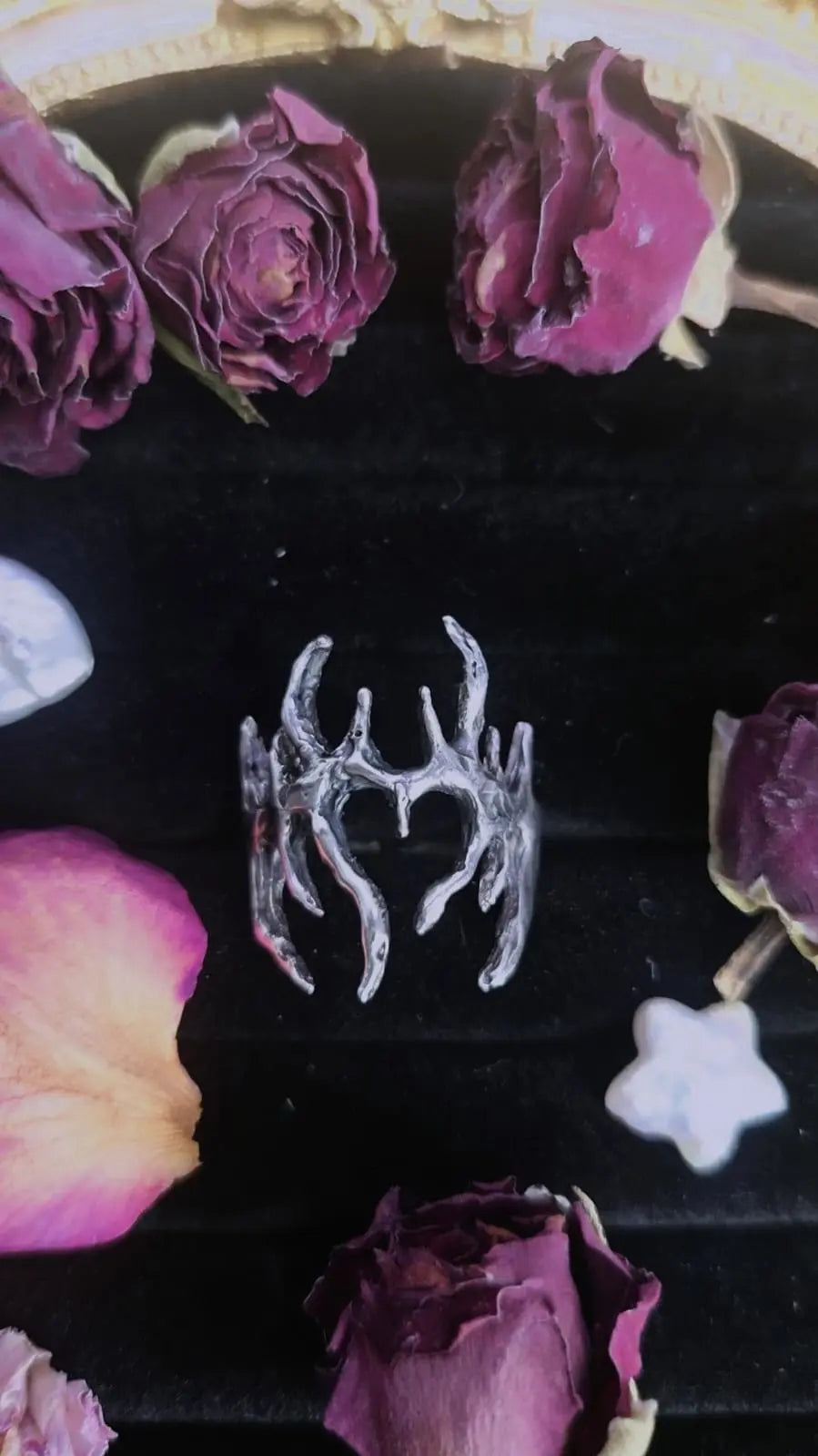 Skalp ring Book of Kissu