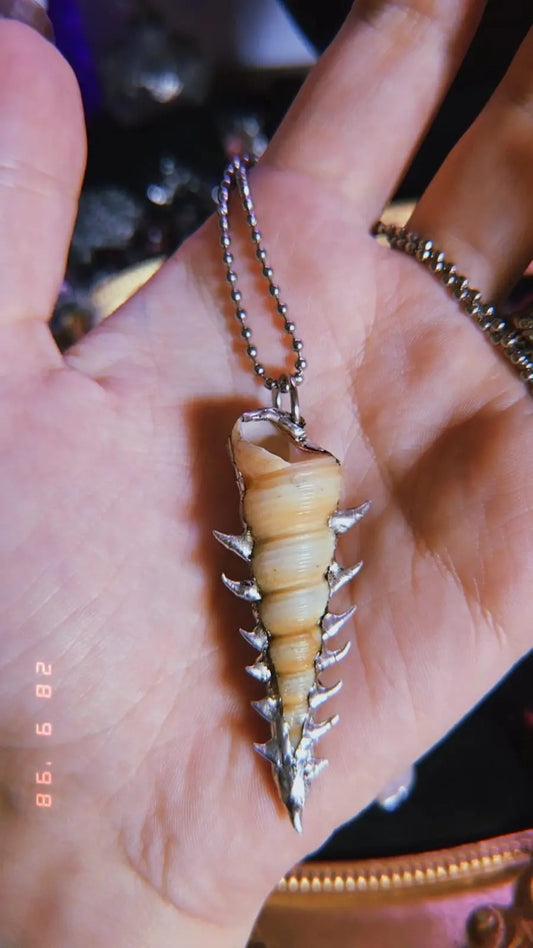 Spiky Shell - Book of Kissu