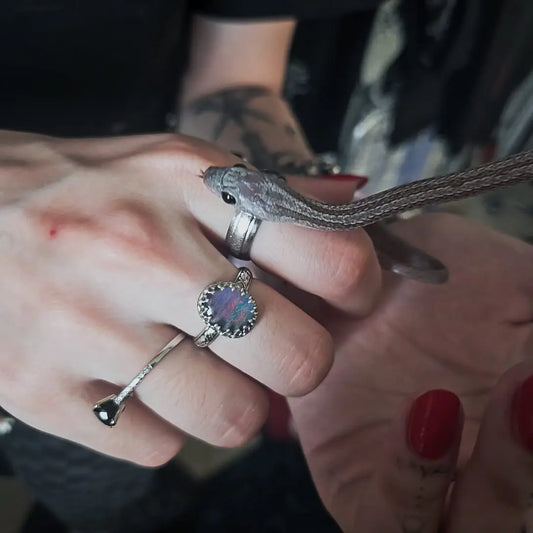 Opal Sunset - UK Q / US 8 - Book of Kissu