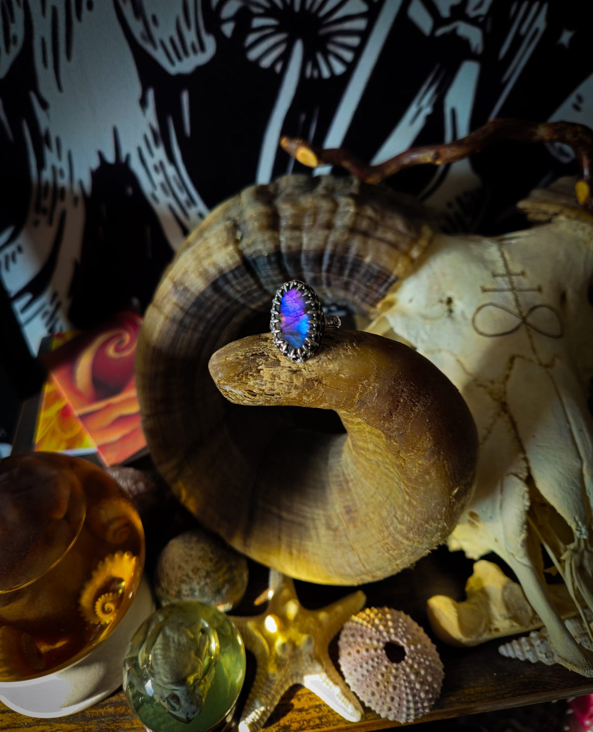 A ring with an oval iridescent blue-purple labradorite set in a silver ring displayed on a large seashell among other beach-themed props including a skull, starfish, and sea urchin.