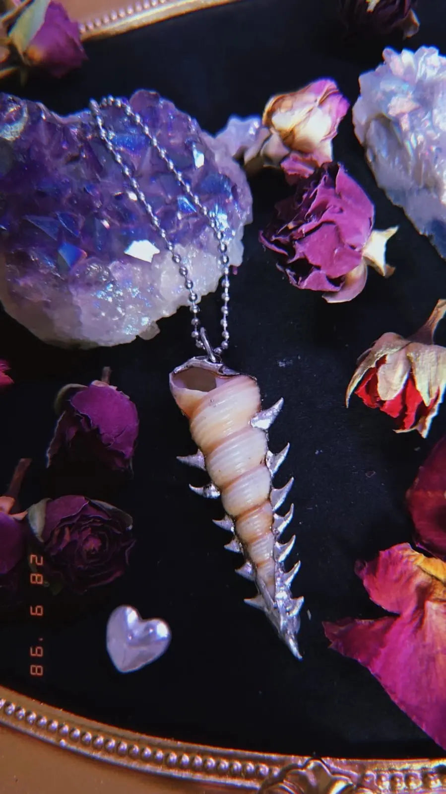 Spiky Shell Necklace Book of Kissu