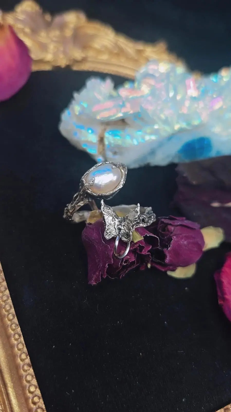 Pierced fly Book of Kissu