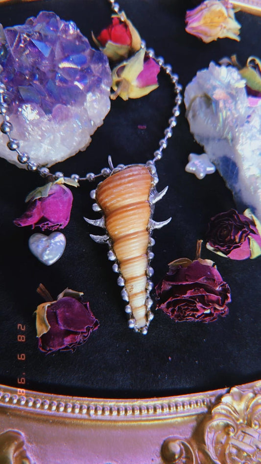 Ocean Waves - Book of Kissu