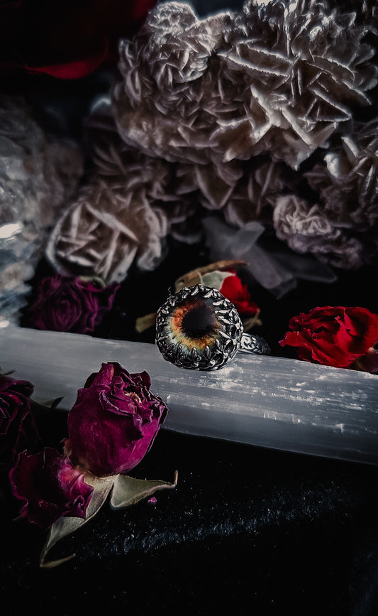 The Eye Ring