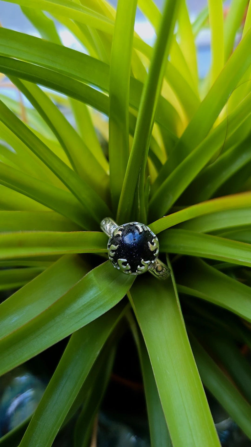 Ring with a obsidian gemstone on a green leafy background