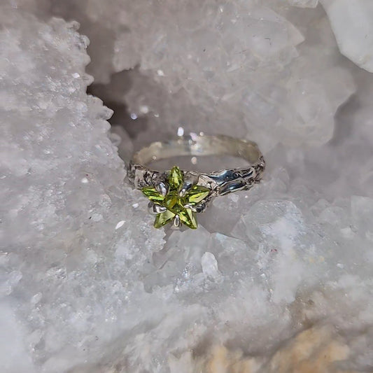 The Neon Star Ring Book of Kissu