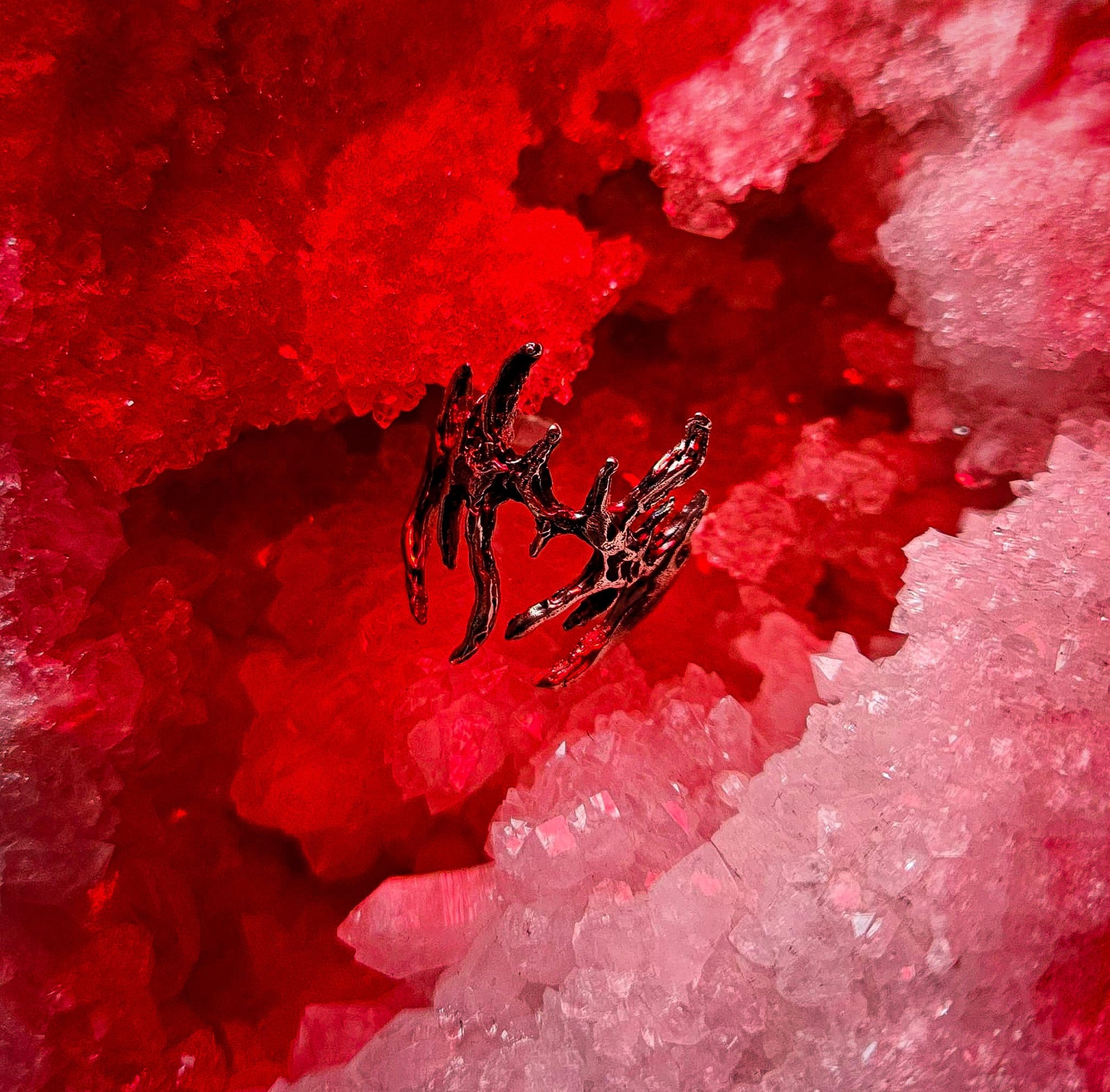 Skalp ring Book of Kissu