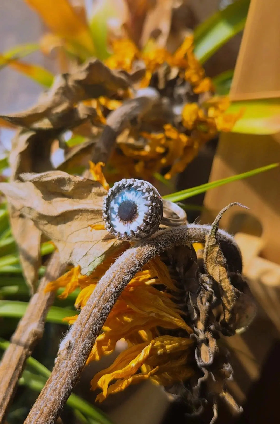 The Eye Ring - Book of Kissu