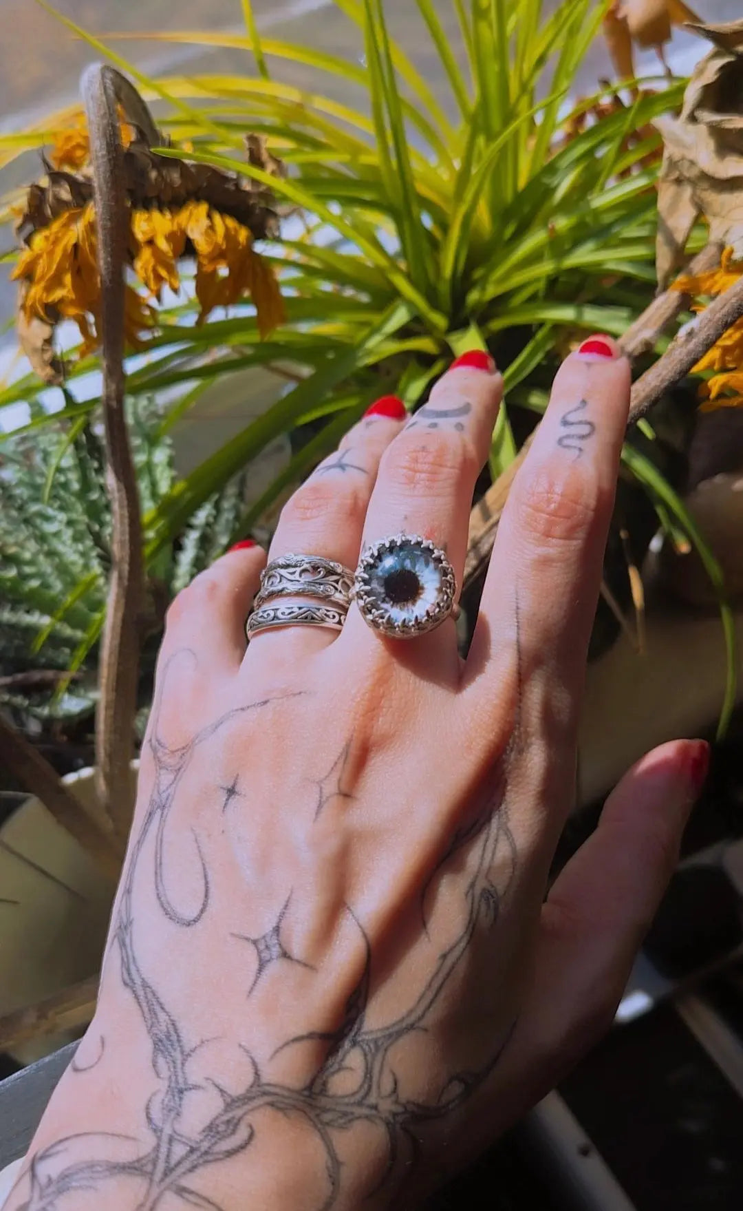 The Eye Ring - Book of Kissu