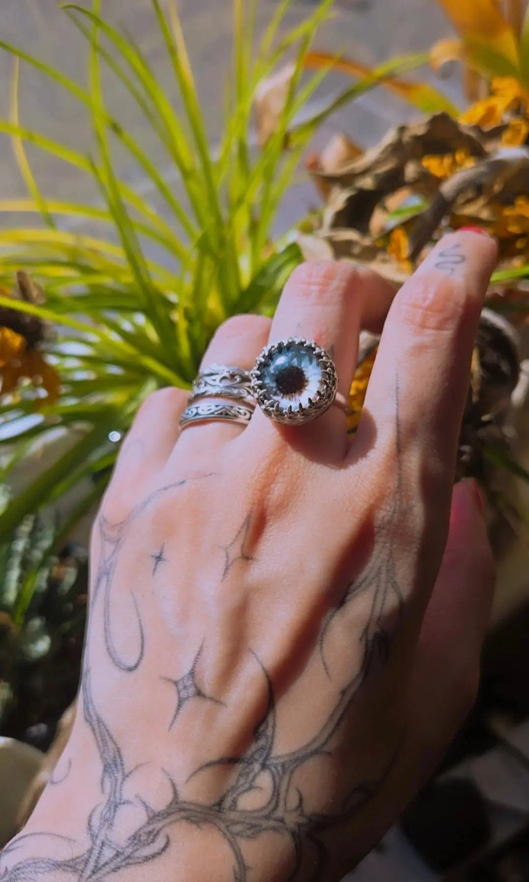 The Eye Ring - Book of Kissu