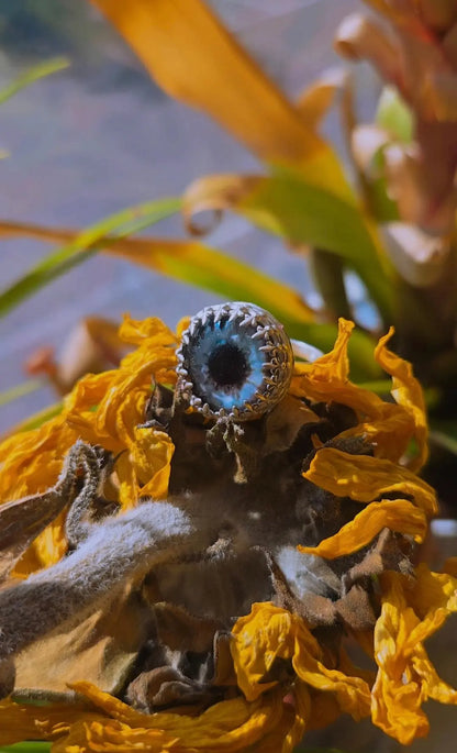 The Eye Ring - Book of Kissu